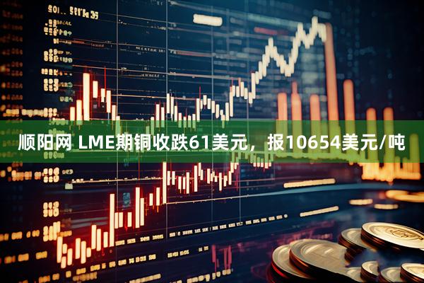 顺阳网 LME期铜收跌61美元，报10654美元/吨